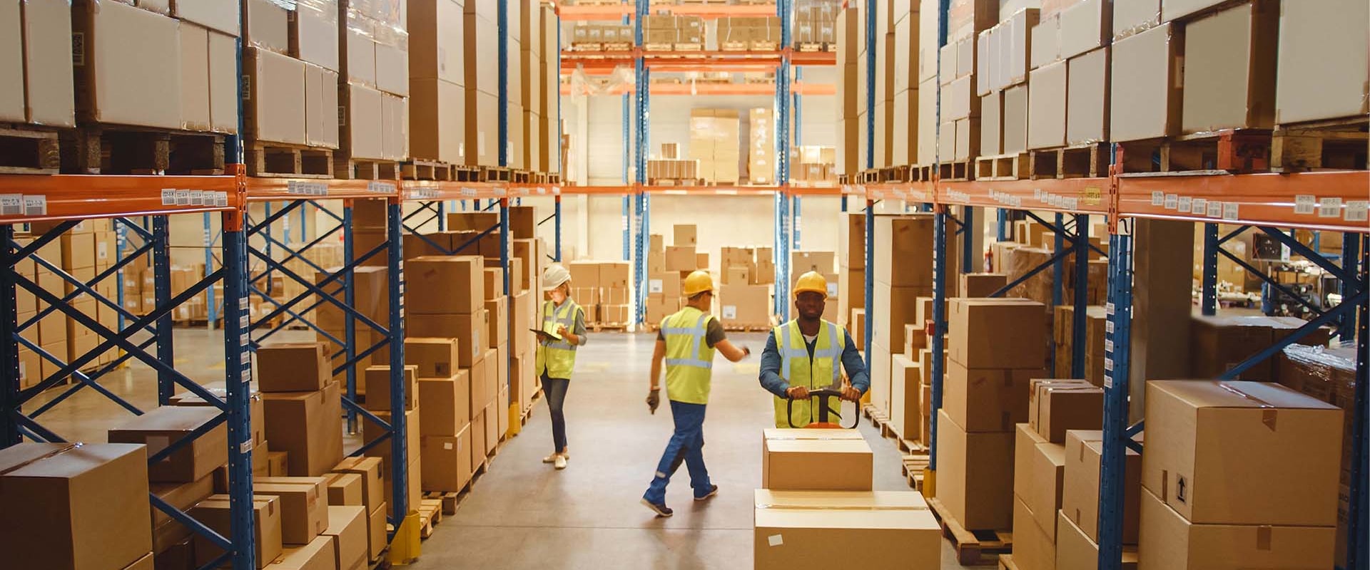 Logistics & Distribution: Understanding the Basics