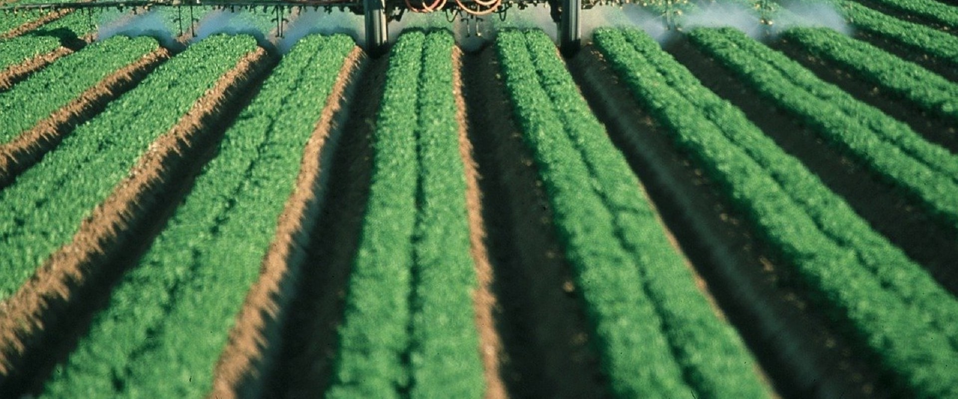 Harvesting: Uses of Farming Equipment