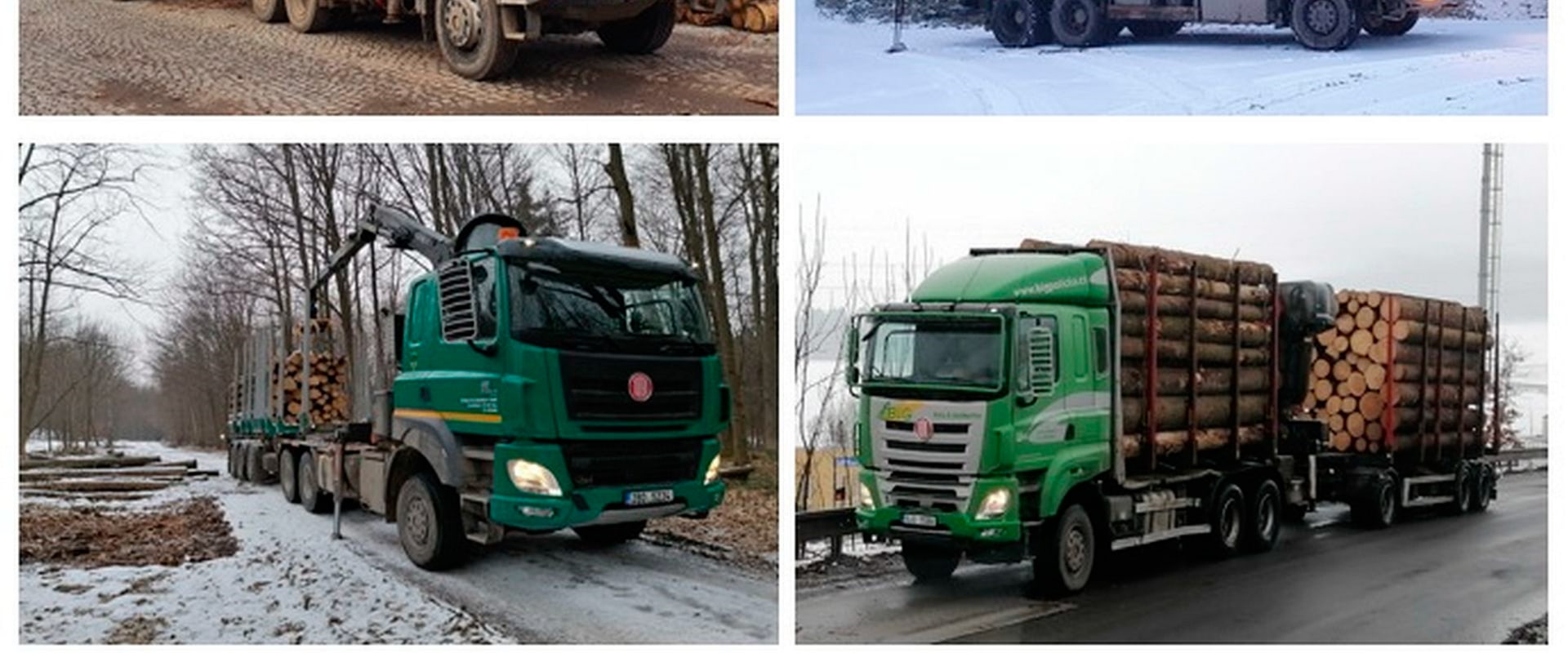 Transporting Timber: An Overview of Techniques and Equipment