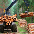 Logging and Harvesting: An Overview