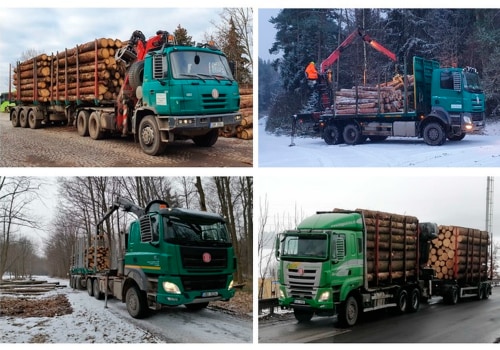 Transporting Timber: An Overview of Techniques and Equipment